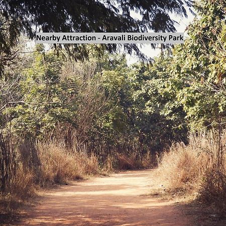 Oyo Dlf Cyber City Near Aravali Biodiversity Park Gurgaon Eksteriør billede